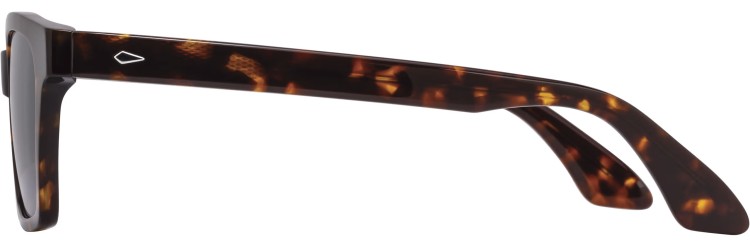 Adams Sunglasses Small